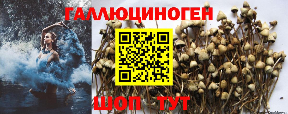 Псилоцибиновые грибы ЛСД  Вход с VPN  Галлюциногенные грибы Psilocybe  Десногорск 